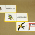 Domino - Vtáky (ukážka vybraných kariet)