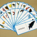 Domino - Vodné živočíchy (náhľad na všetky karty)