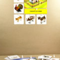 Kde žijú zvieratá | Priraďovacie karty s magnetmi | Použitie na magnetickej tabuli | Učebná pomôcka pre MŠ a ZŠ