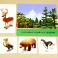Kde žijú zvieratá MAXI - základná karta s vybranými obrázkovými kartami (Zvieratá v horách a lesoch)