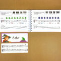 Durové a molové stupnice | Priraďovacie karty + štipcové karty + dvojdielna učebnica