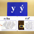 Vybrané slová - veľké karty (I a Y po obojakých spoluhláskach), priraďovacie karty