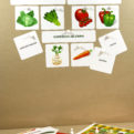 Ovocie a zelenina | Priraďovacie karty s magnetmi | Použitie na magnetickej tabuli | Učebná pomôcka pre MŠ a ZŠ