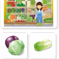 Ovocie a zelenina - priraďovacie karty