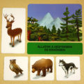 Hol élnek az állatok | Hozzárendelő kártyák | 103 kártyát