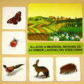 Hol élnek az állatok | Hozzárendelő kártyák | 103 kártyát