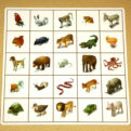 Orientácia v priestore – Kroková hra | Manipulačné karty | 2 hracie plány a 97 kariet | Herný plán so zvieratami