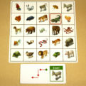 Orientácia v priestore – Kroková hra | Manipulačné karty | 2 hracie plány a 97 kariet | Posúvaním priehľadnej červenej orientačnej značky deti podľa zadania na karte nájdu "cieľové" zviera